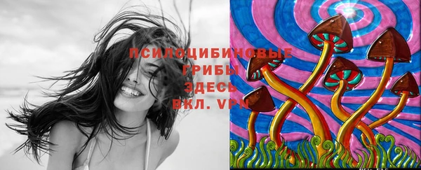 синтетический гашиш Арсеньев