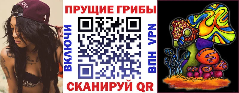 магазин продажи наркотиков  Рославль  Псилоцибиновые грибы мицелий 